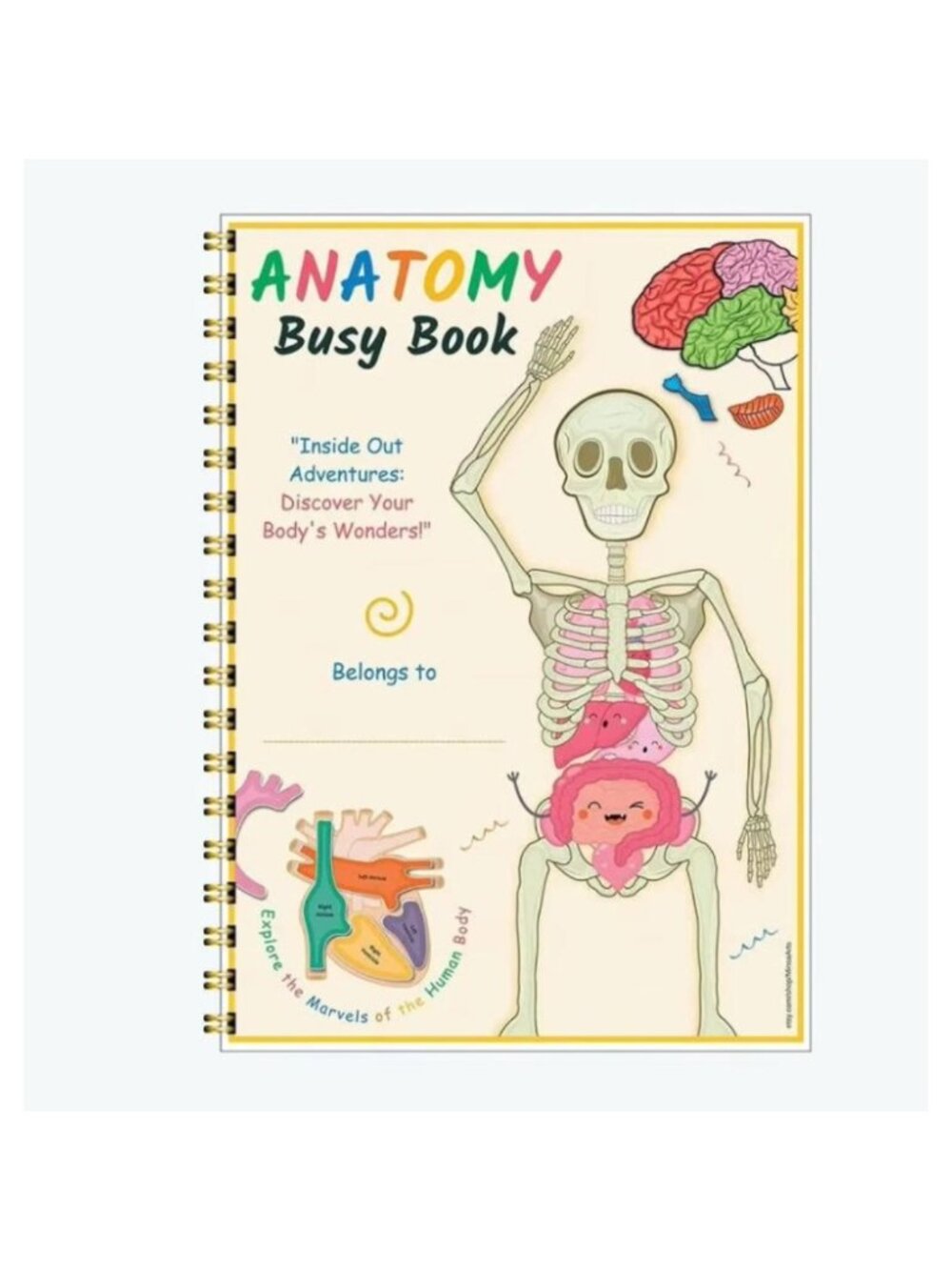 Kids Human Anatomy Busy Book, Body Science Educational Book